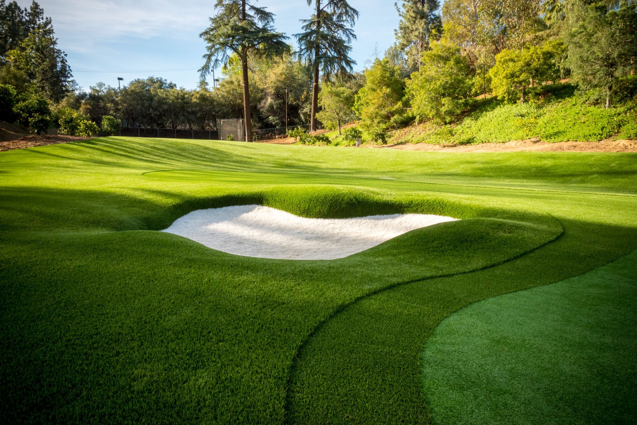 Putting Courses and Putting Greens