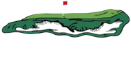 bng Phoenix logo